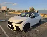 Lexus Nx 2024 photo 3