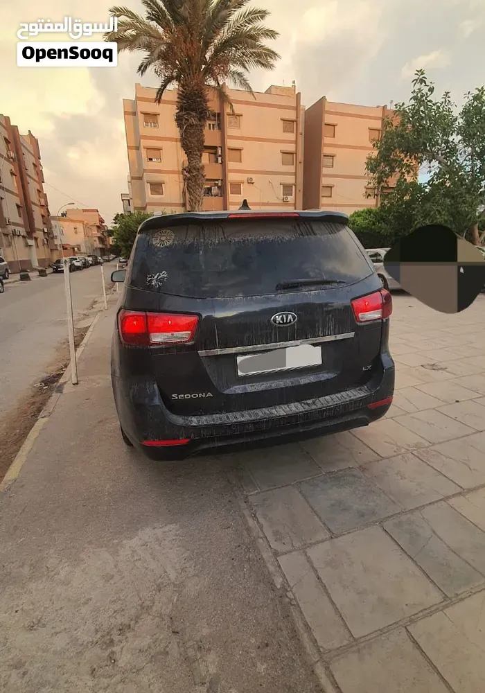 Kia Sedona 2016 photo 2