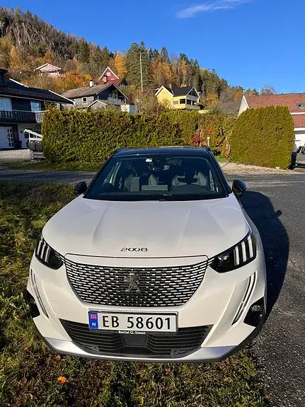 Peugeot E-2008 2020 photo 2