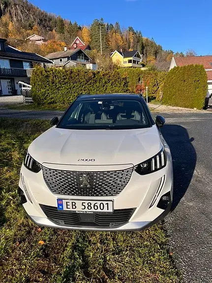 Peugeot E-2008