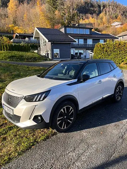 Peugeot E-2008 2020 photo 3