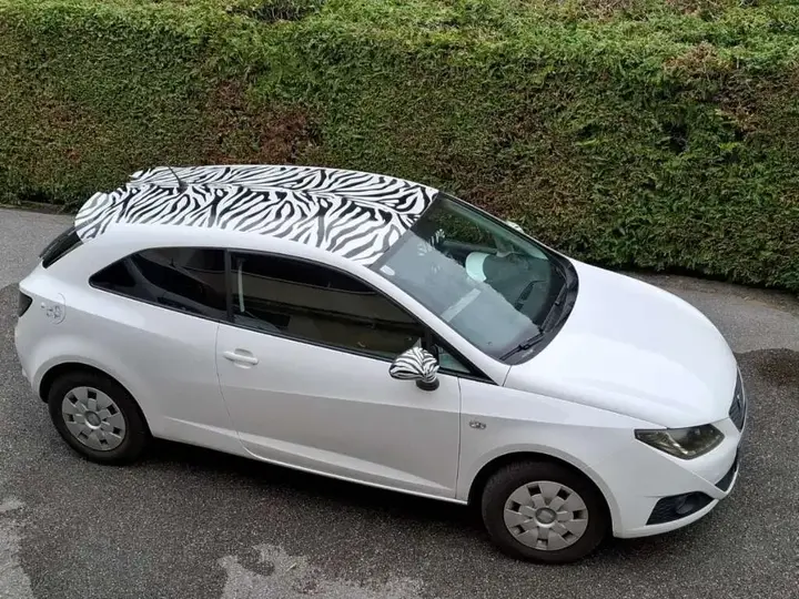 Seat Ibiza 2009 photo 3