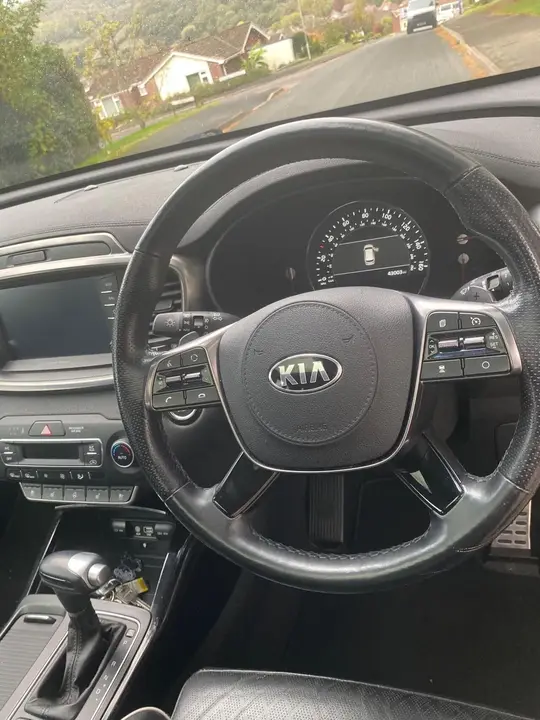 Kia Sorento 2020 photo 3