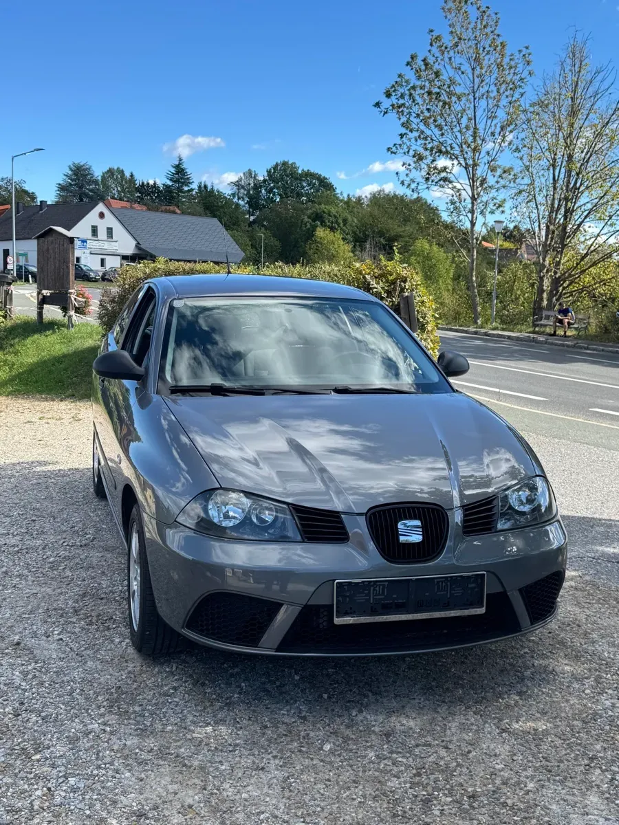 Seat Ibiza 2008 photo 2