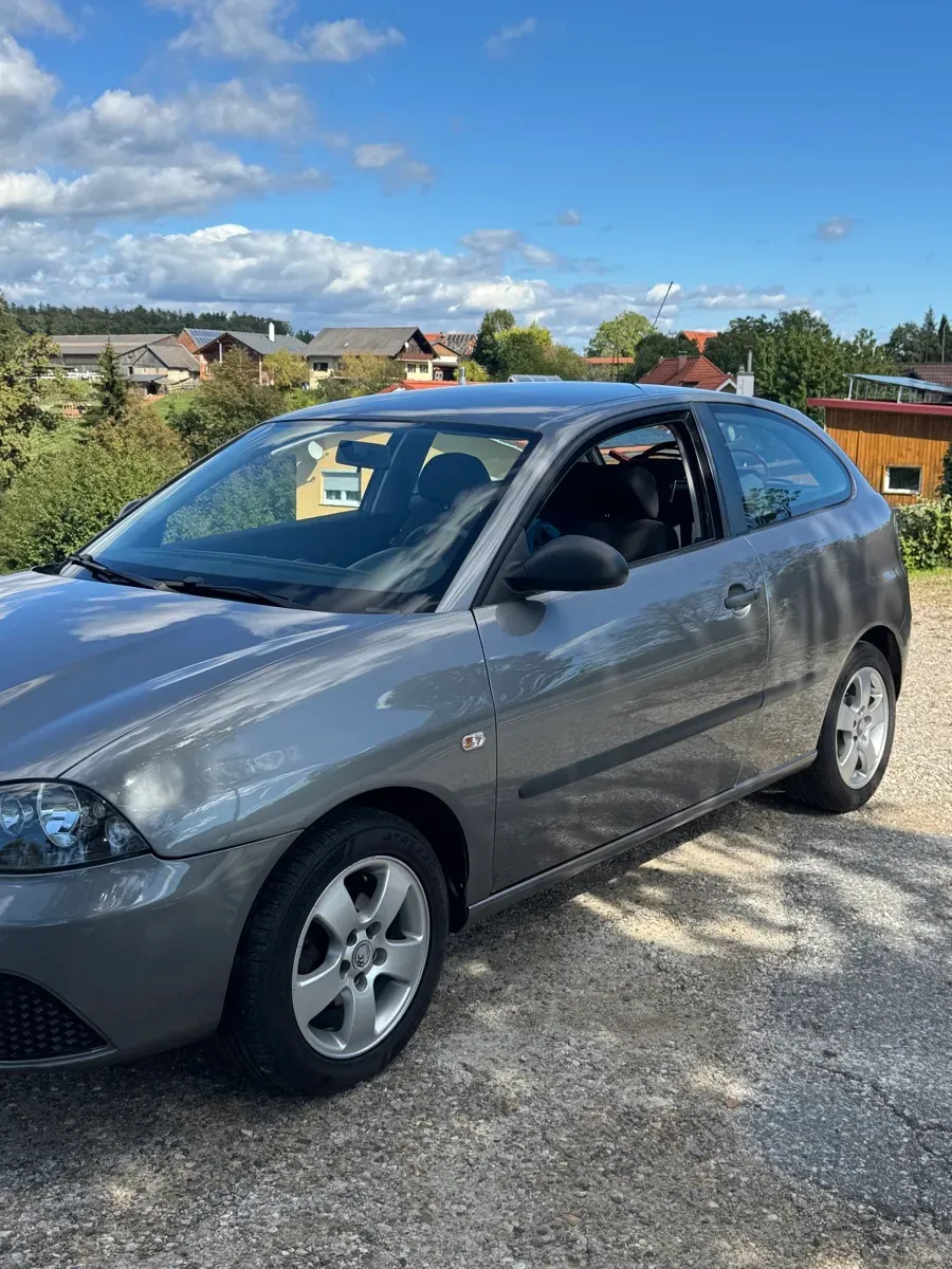 Seat Ibiza 2008 photo 3