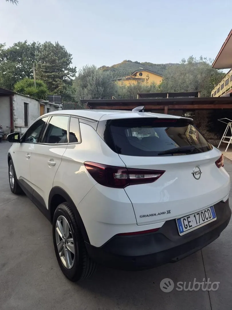 Opel Grandland X 2021 photo 3