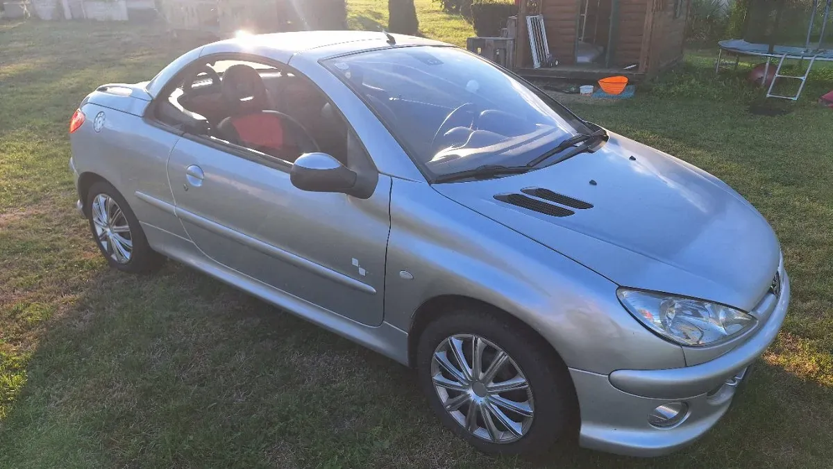 Peugeot 206 2003 photo 2