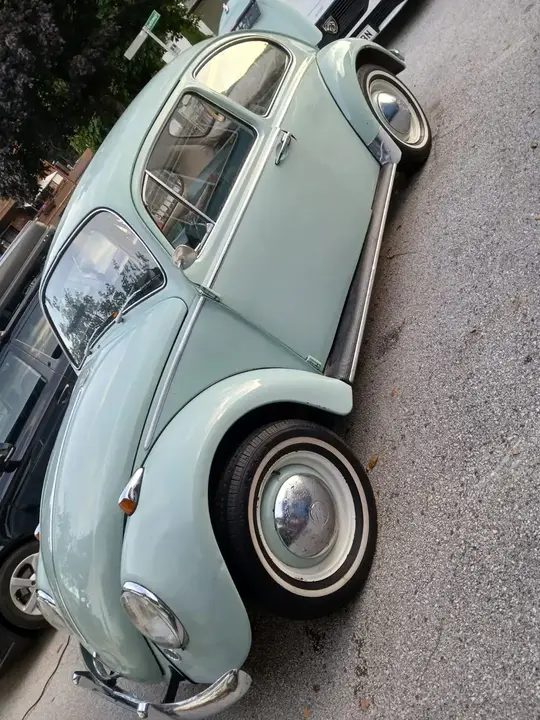 Volkswagen Käfer 1965 photo 3