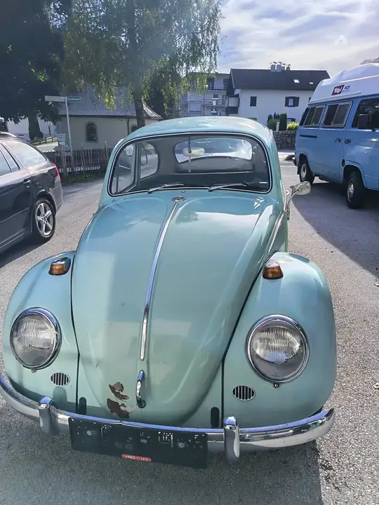 Volkswagen Käfer