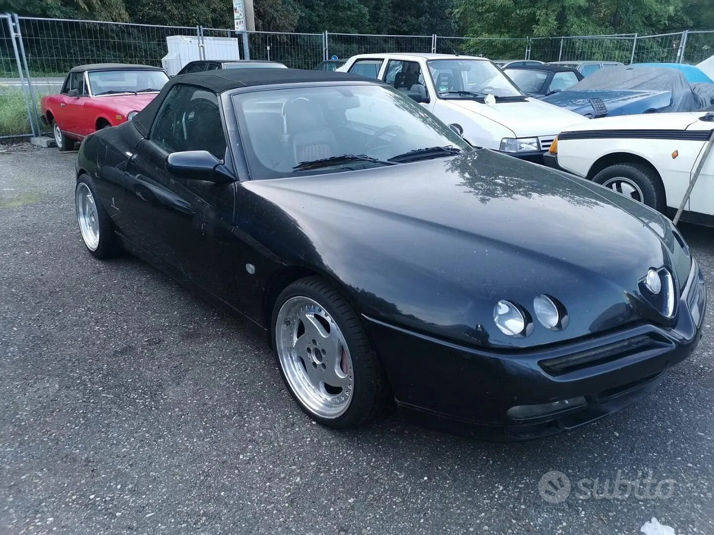 Alfa Romeo Gtv Spider