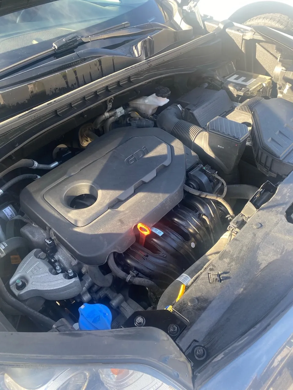 Kia Sportage 2019 photo 5