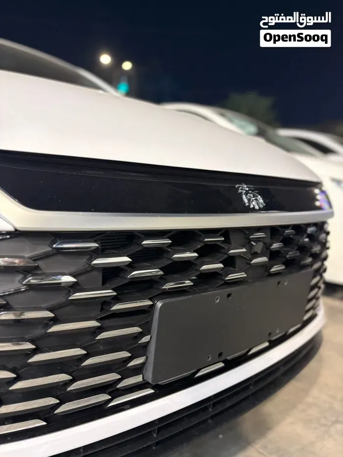 BYD Song Plus 2025 photo 3