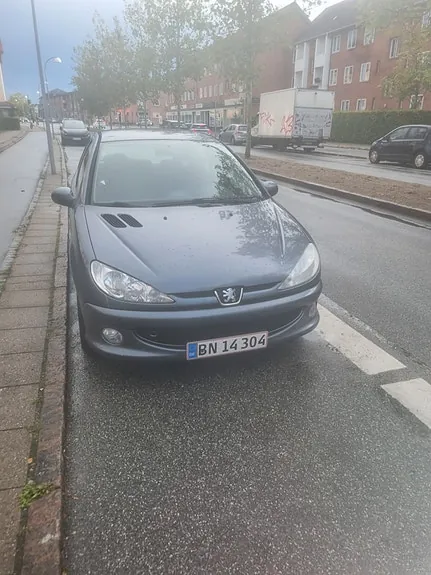 Peugeot 206 2006 photo 2