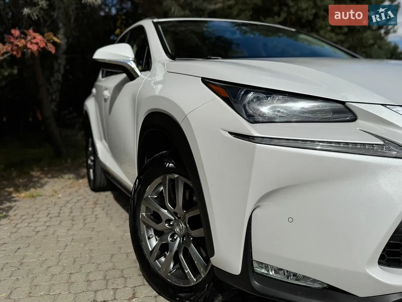 Lexus Nx 2014 photo 3
