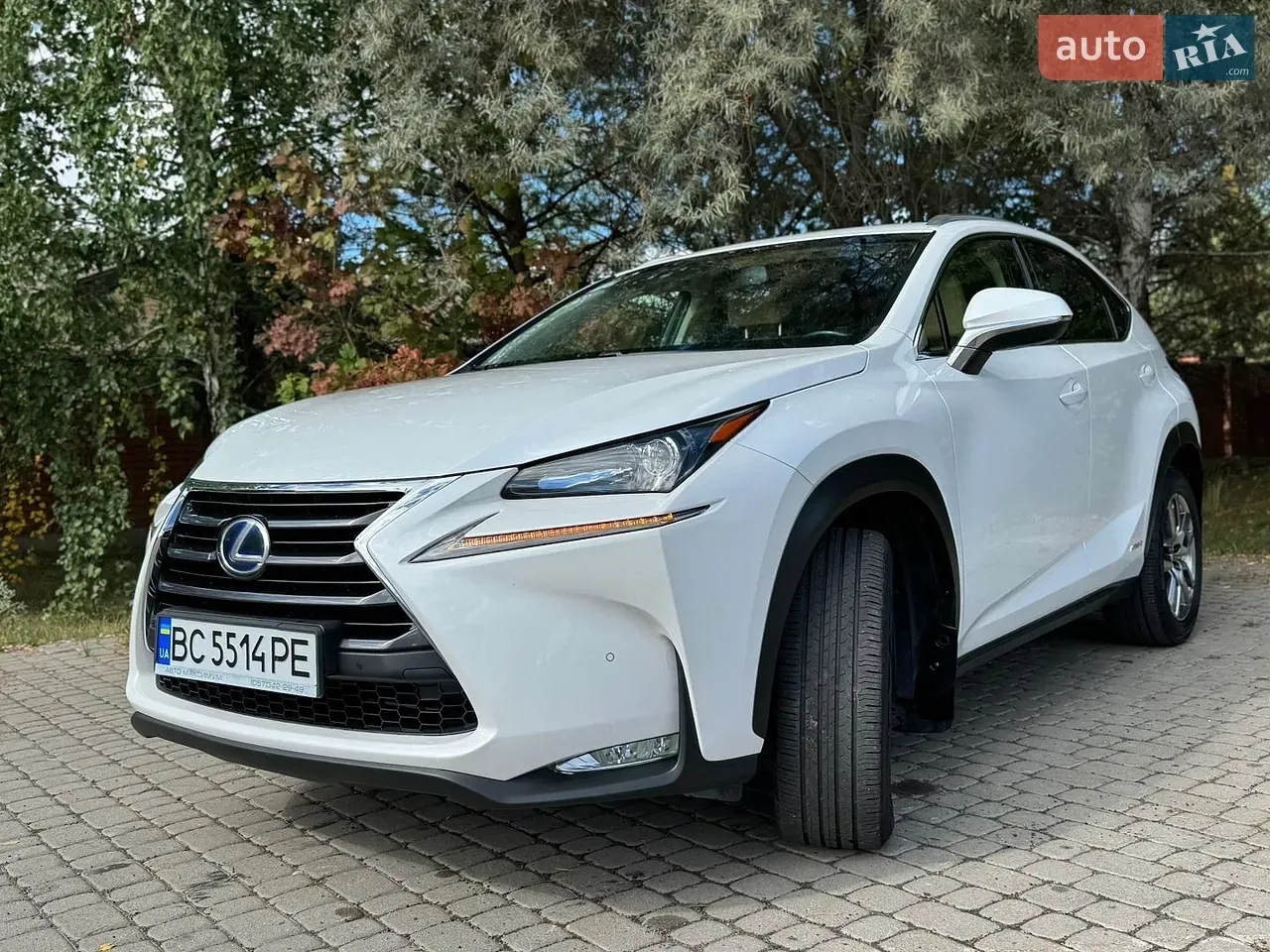 Lexus Nx 2014 photo 2