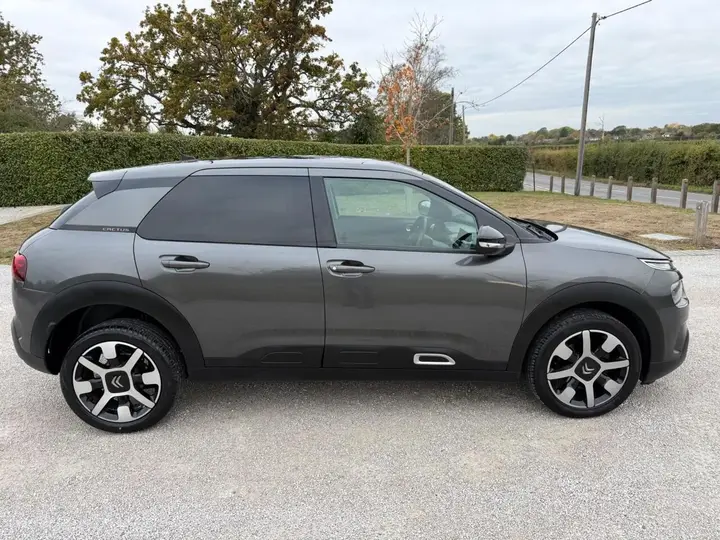 Citroen C4 Cactus 2019 photo 2