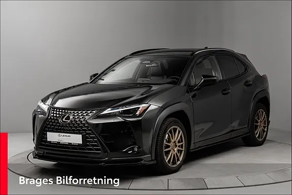 Lexus Ux300E