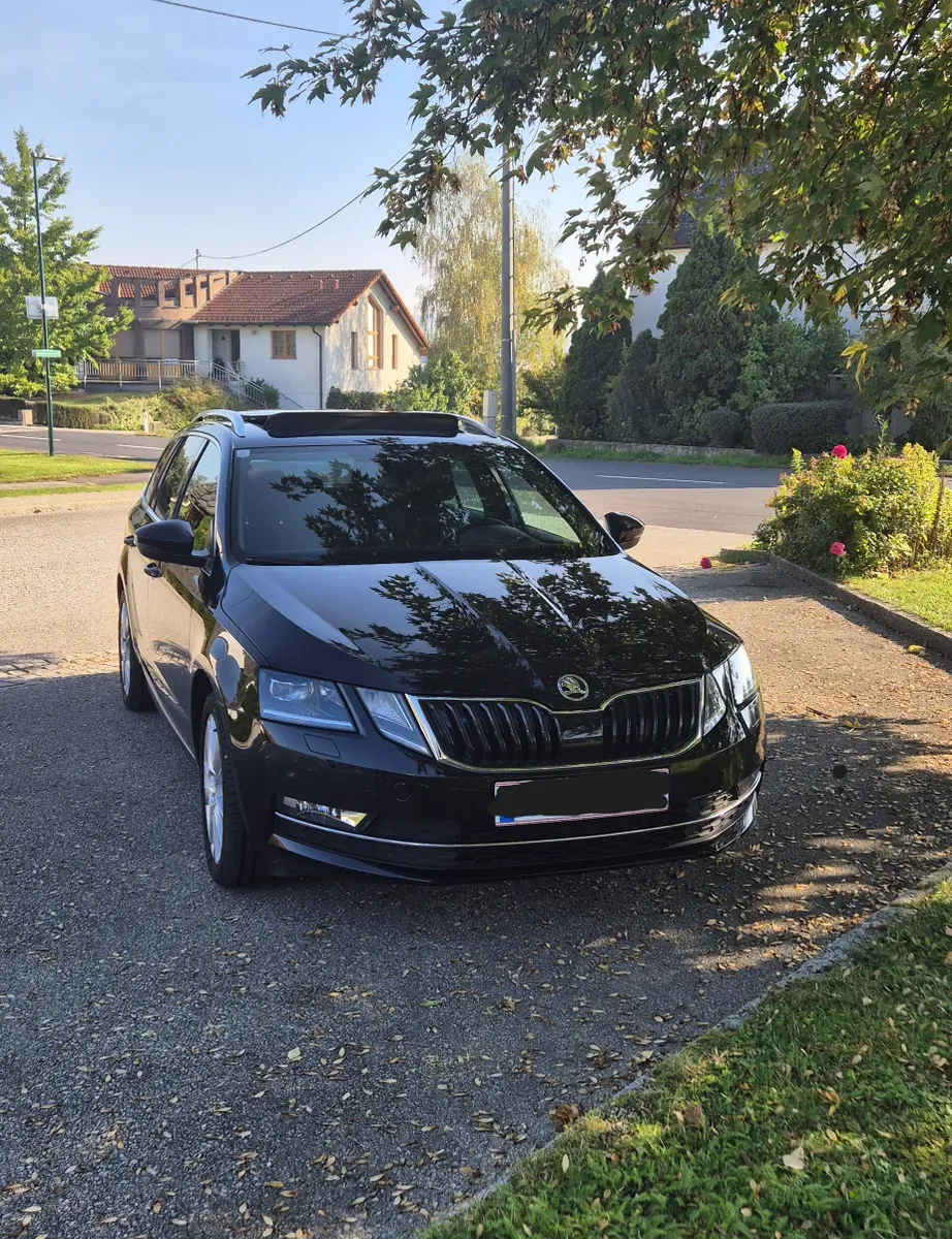 Skoda Octavia 2019 photo 2
