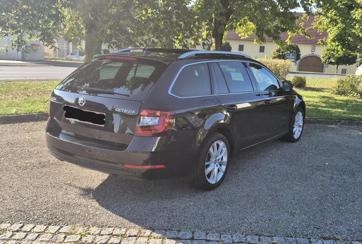 Skoda Octavia 2019 photo 3