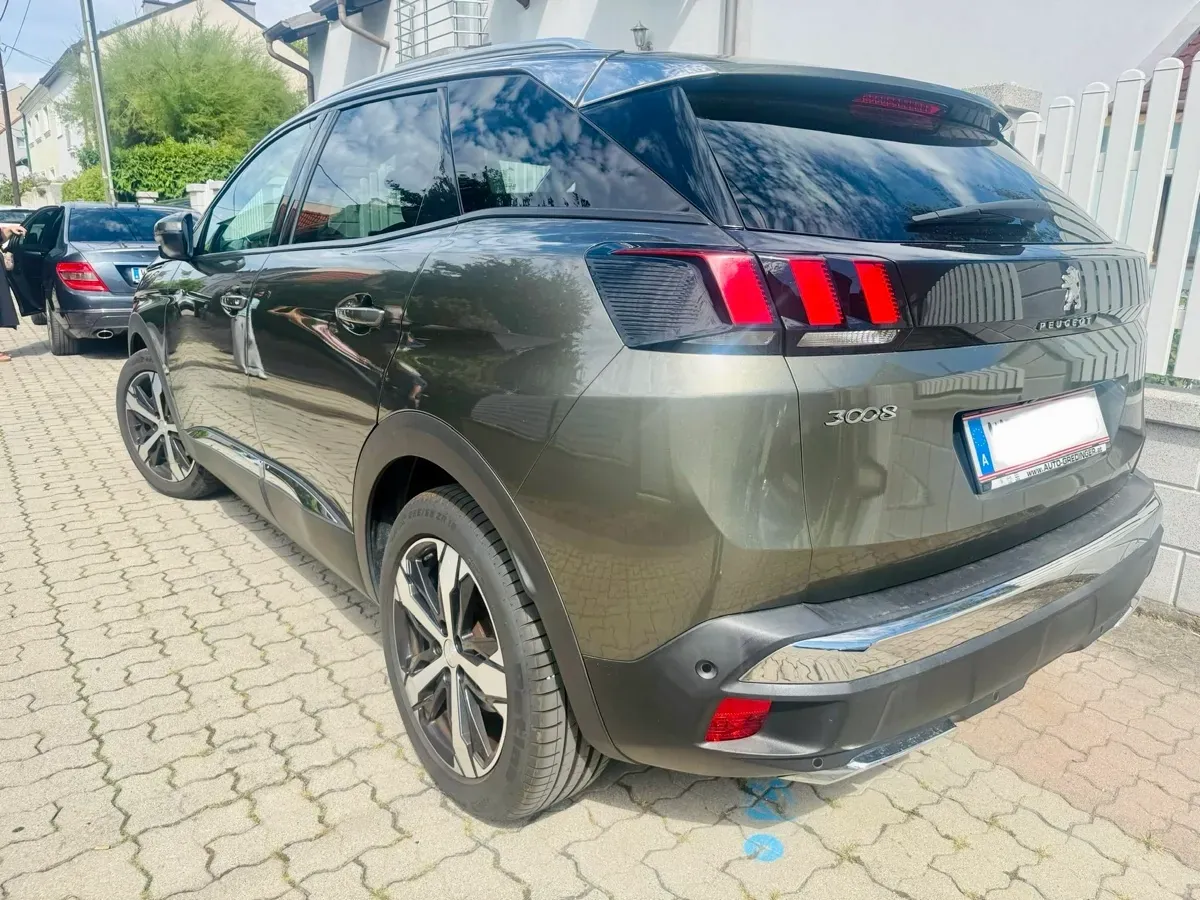 Peugeot 3008 2019 photo 2