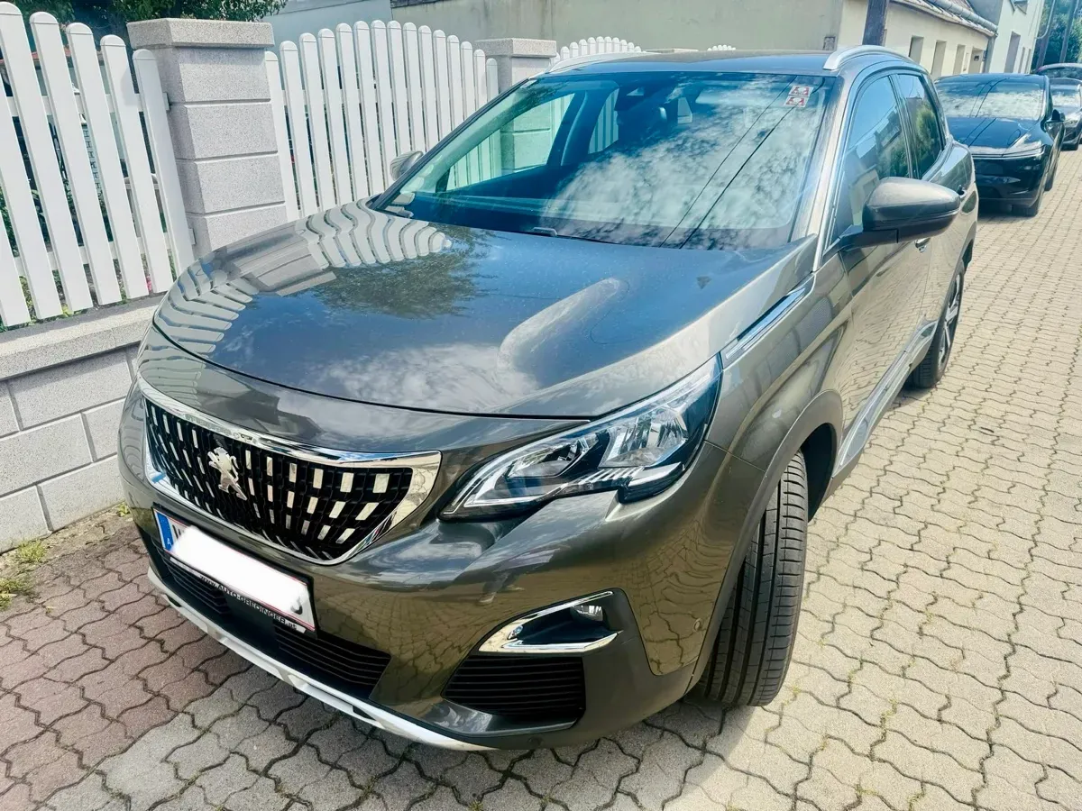 Peugeot 3008 2019 photo 3