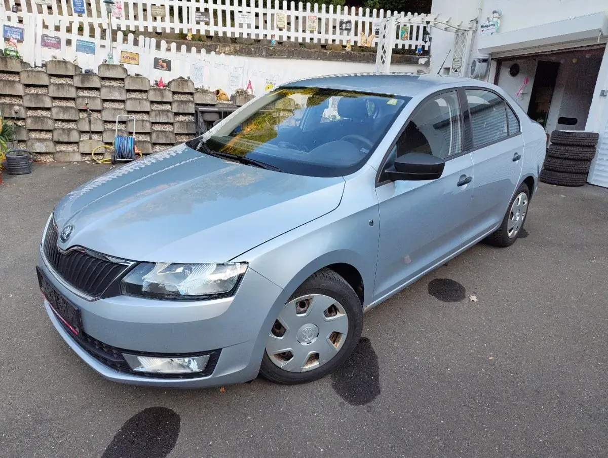 Skoda Rapid 2013 photo 2