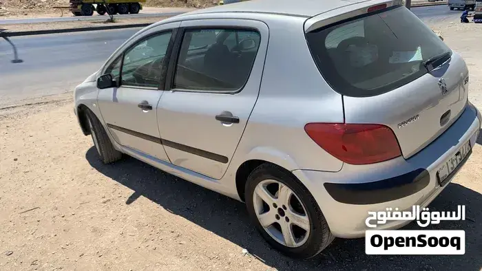 Peugeot 307 2005 photo 3