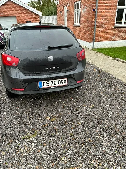 Seat Ibiza 2010 photo 3