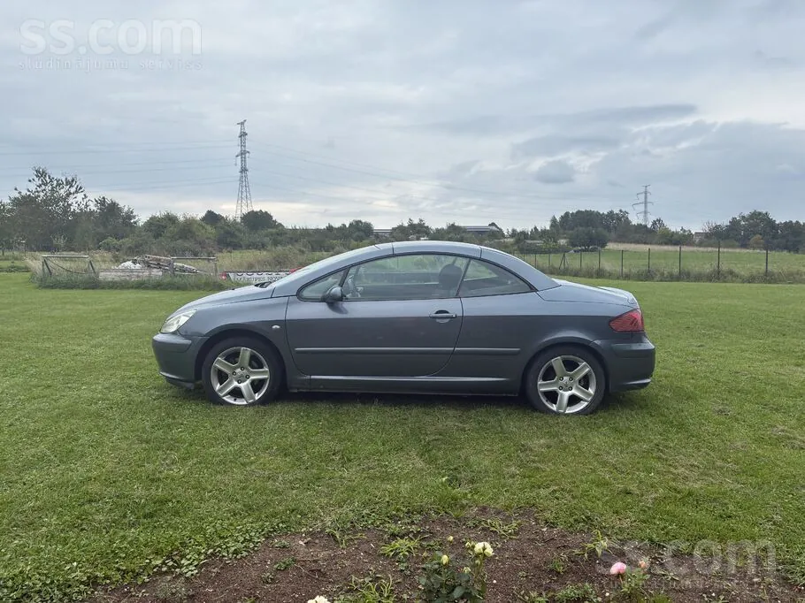 Peugeot 307 2006 photo 4