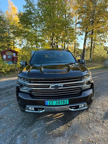 Chevrolet Silverado 1500 2019 photo 3