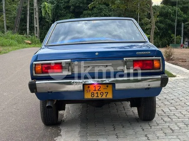 Nissan Sunny 1979 photo 5