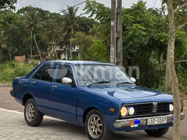 Nissan Sunny 1979 photo 2