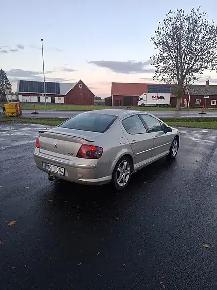 Peugeot 407 2007 photo 3