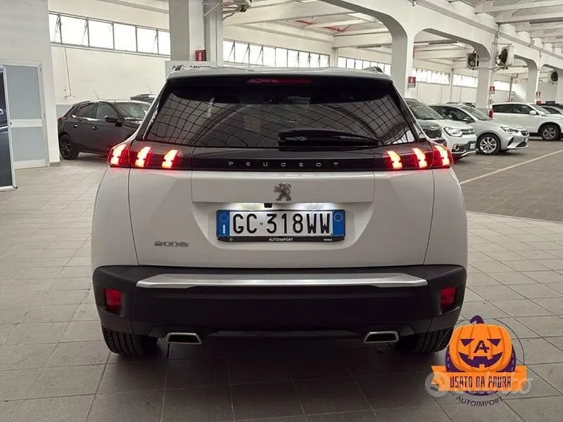 Peugeot 2008 2020 photo 5