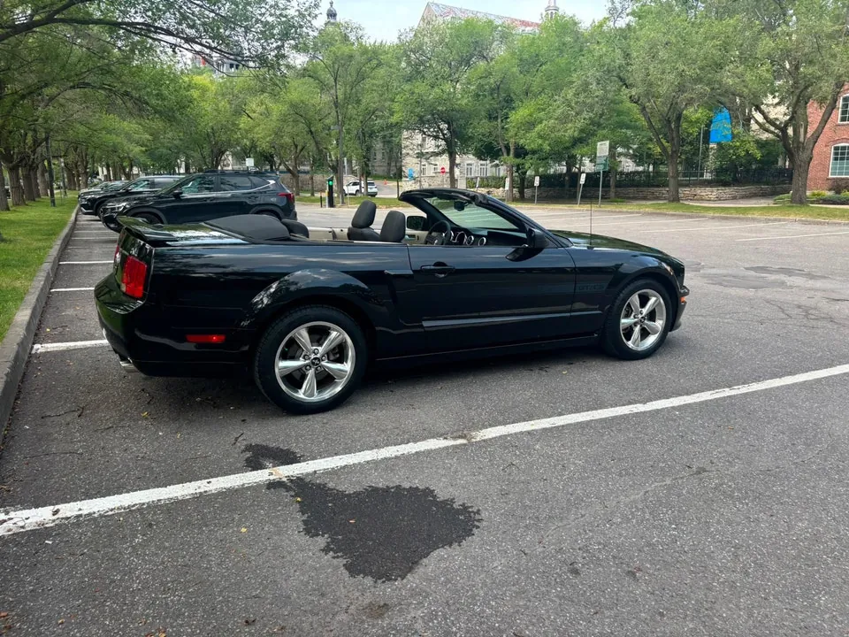 Ford Mustang 2009 photo 3