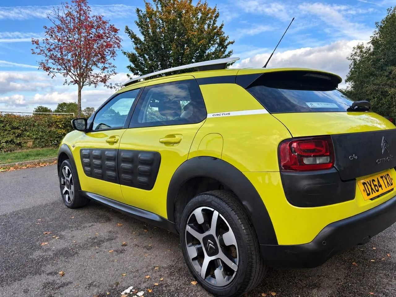 Citroen C4 Cactus 2014 photo 3