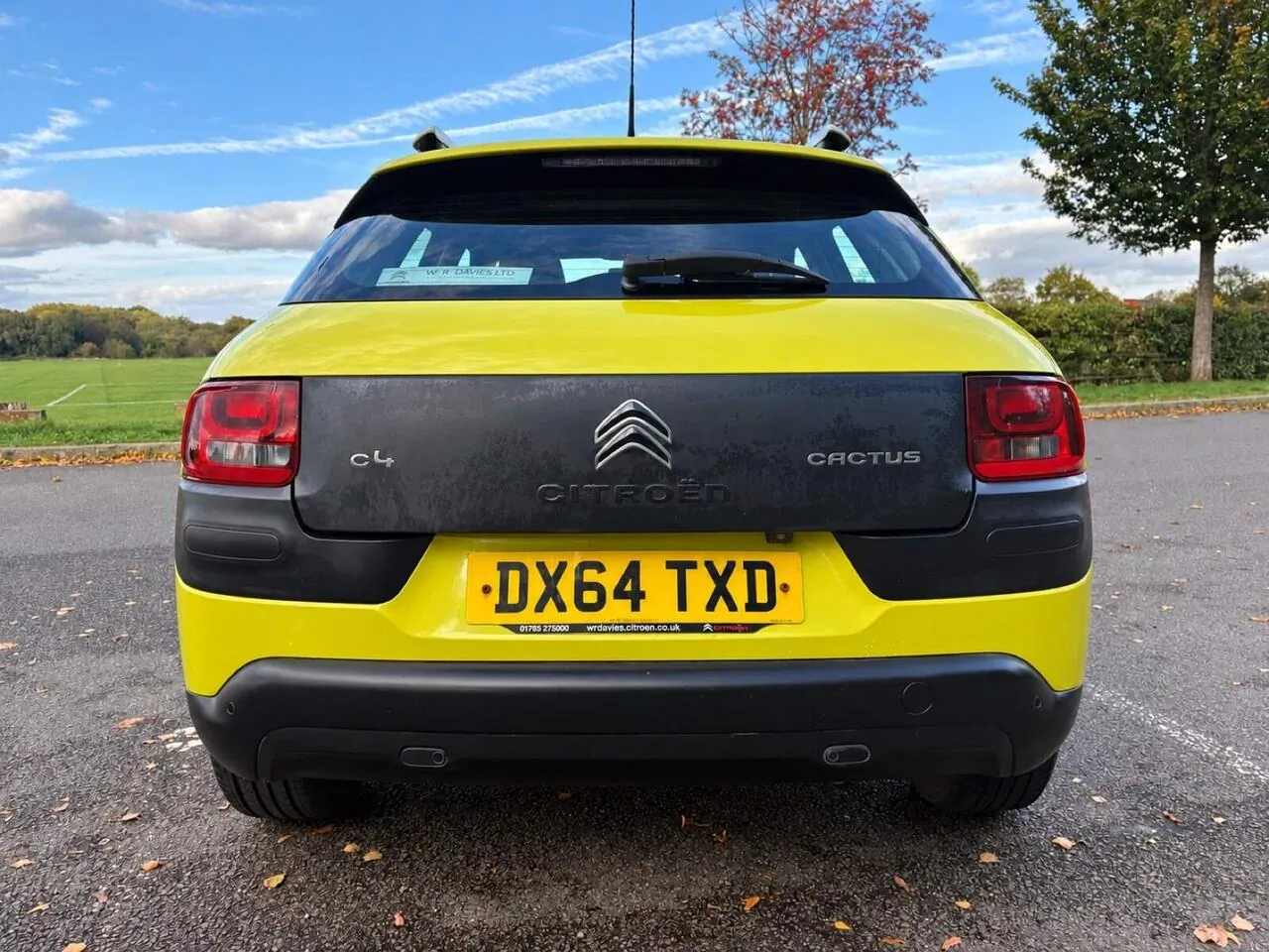 Citroen C4 Cactus 2014 photo 4
