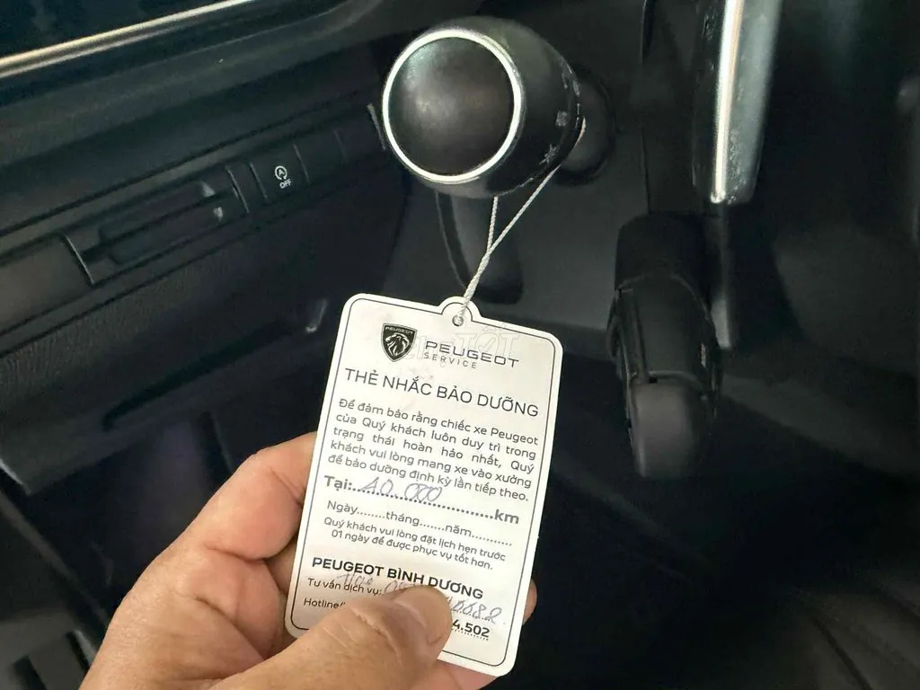 Peugeot 3008 2019 photo 2