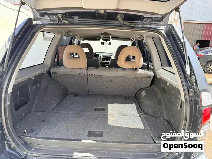 Mitsubishi Nativa Gls 2007 photo 4