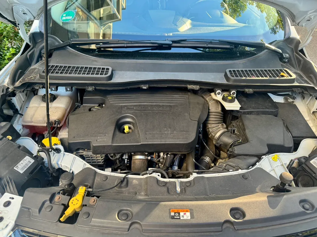 Ford Kuga 2016 photo 3