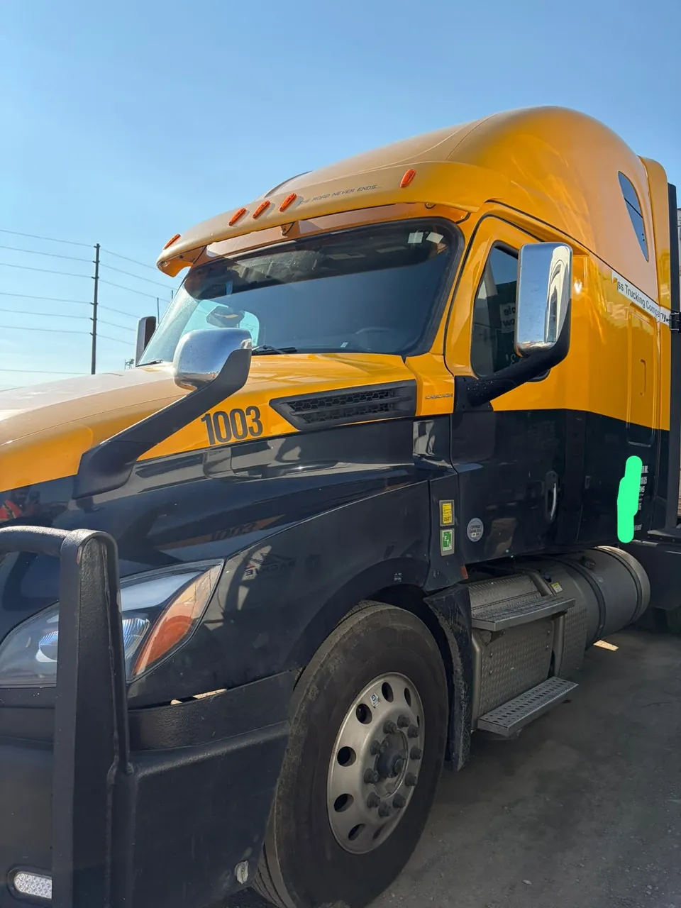Freightliner Cascadia 2019 photo 2