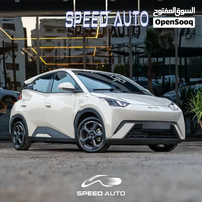 BYD Seagull