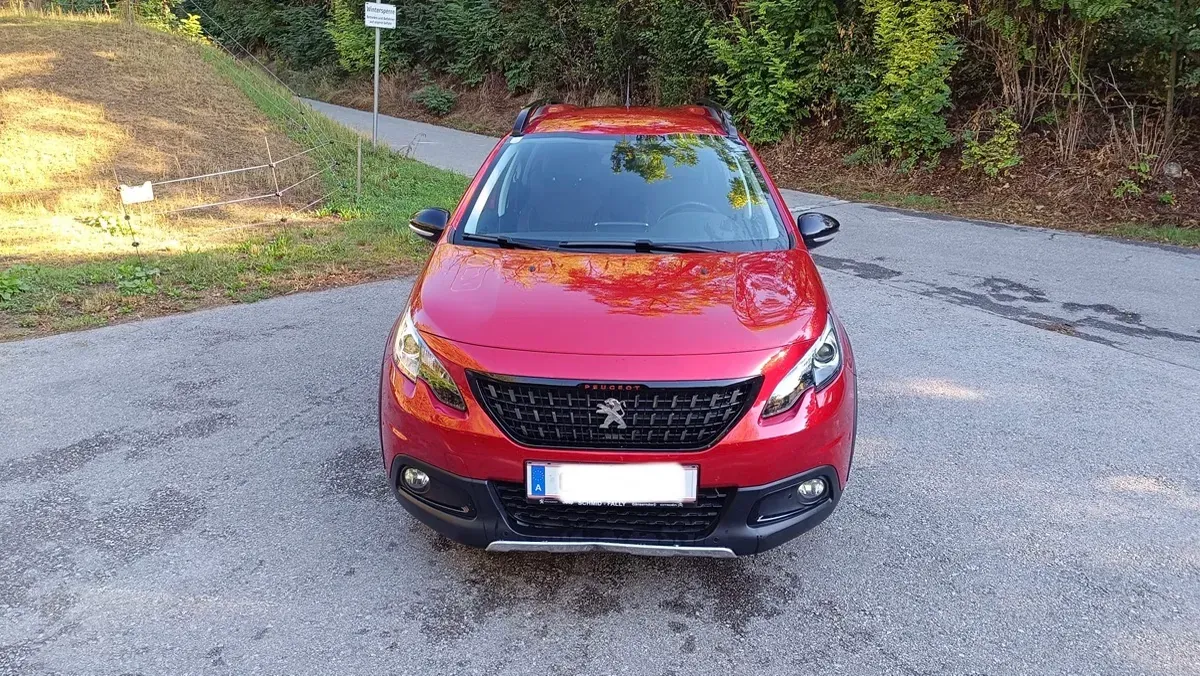 Peugeot 2008 2019 photo 2