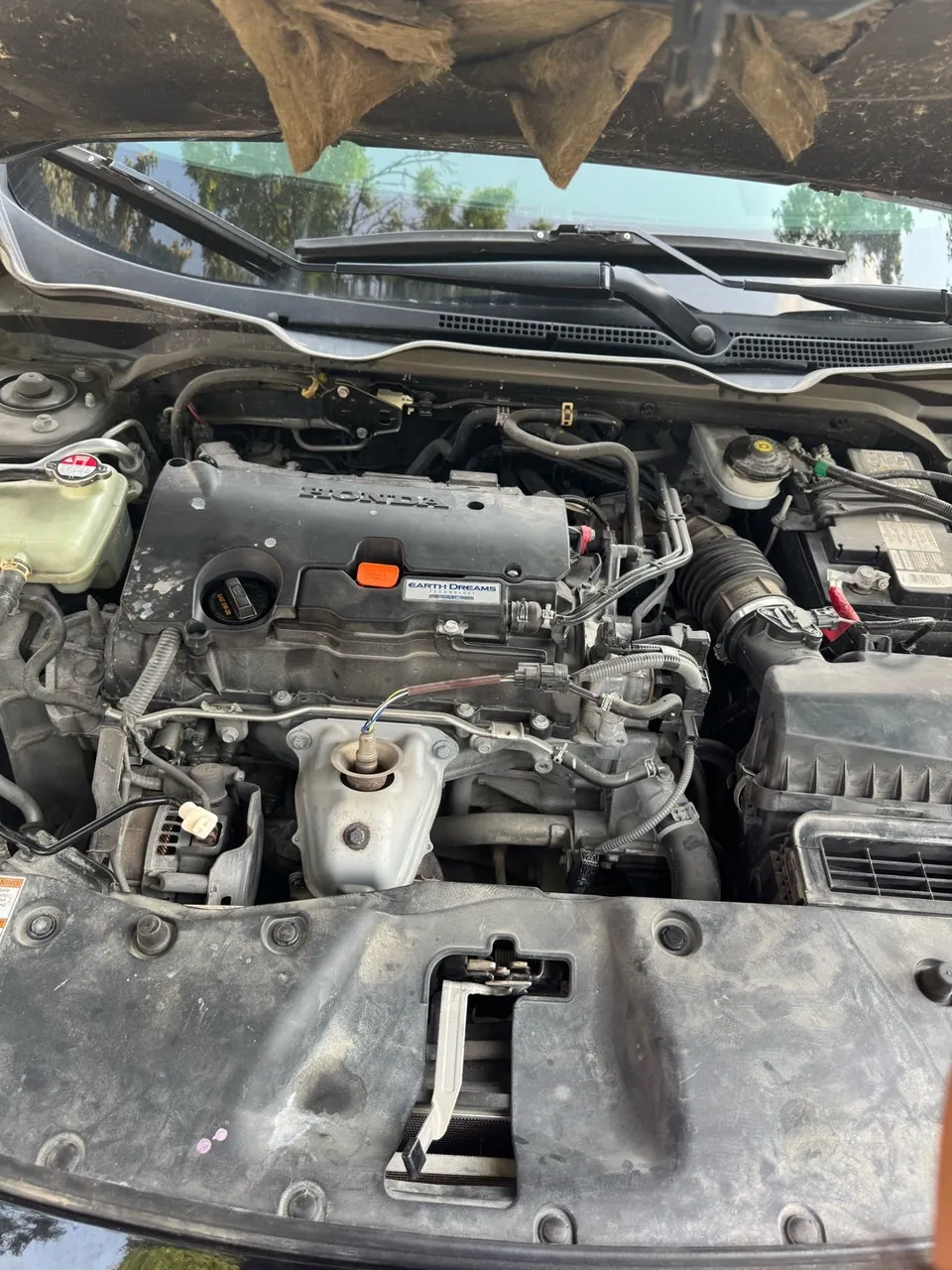 Honda Civic 2017 photo 2