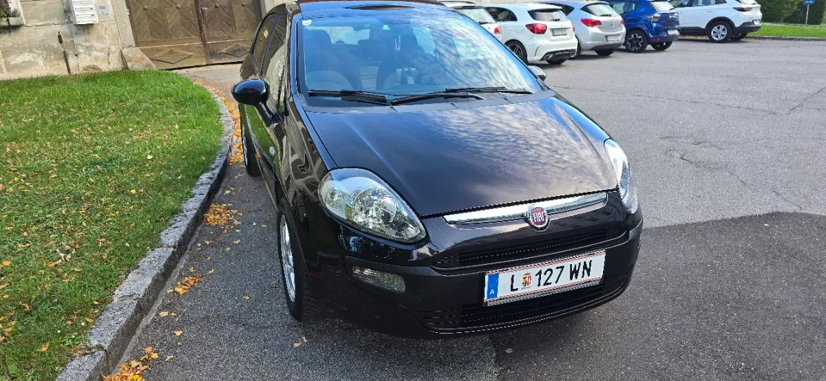 Fiat Punto 2010 photo 3