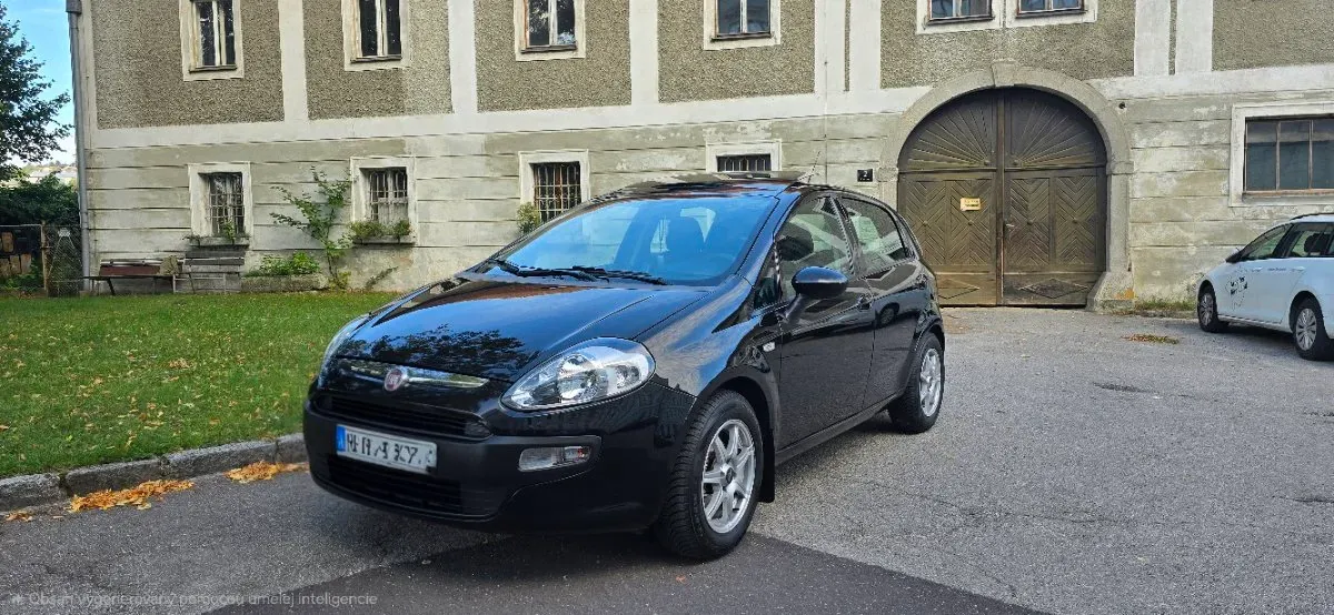Fiat Punto 2010 photo 2