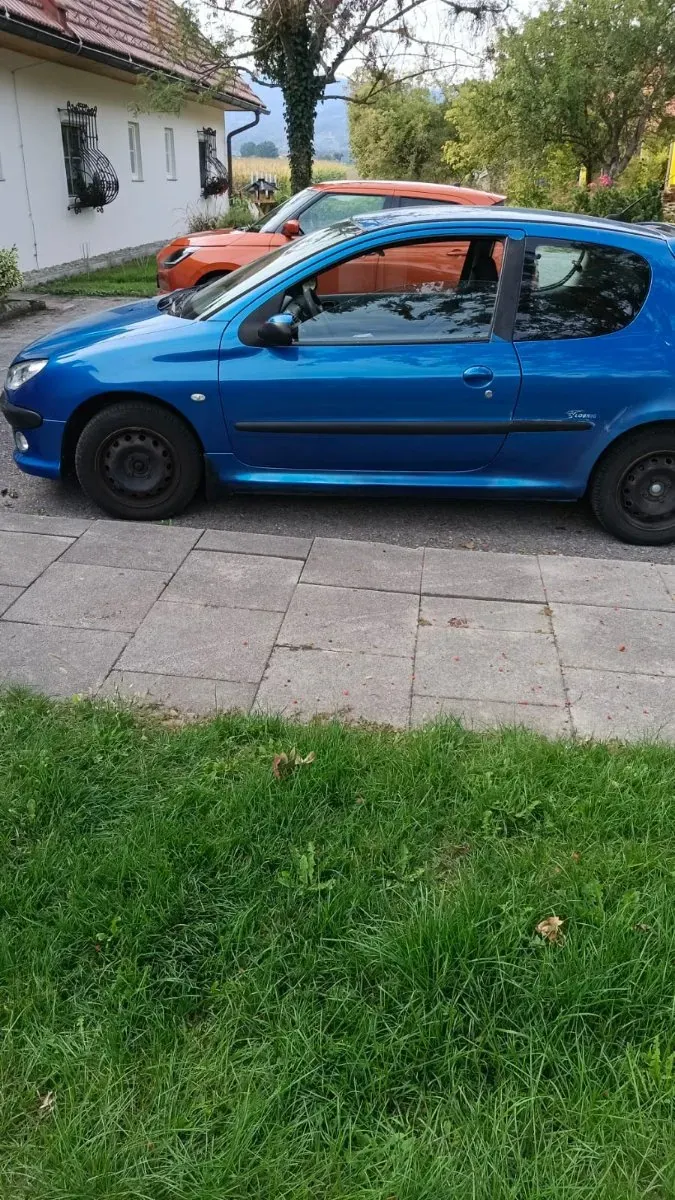 Peugeot 206 2005 photo 3