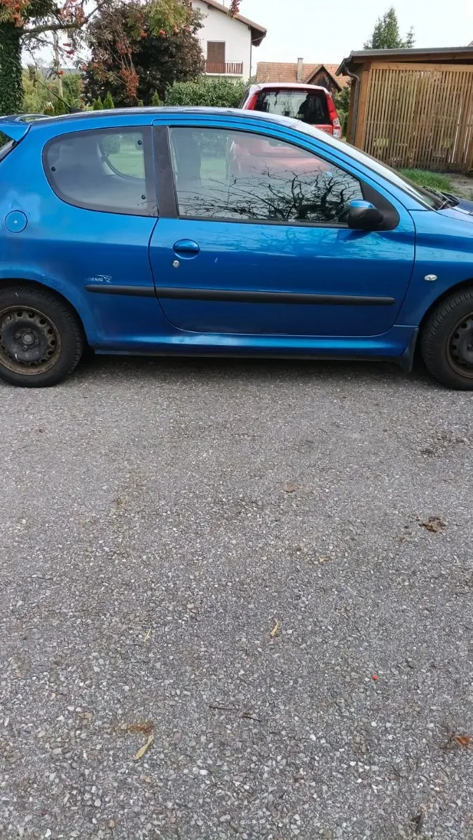 Peugeot 206 2005 photo 2