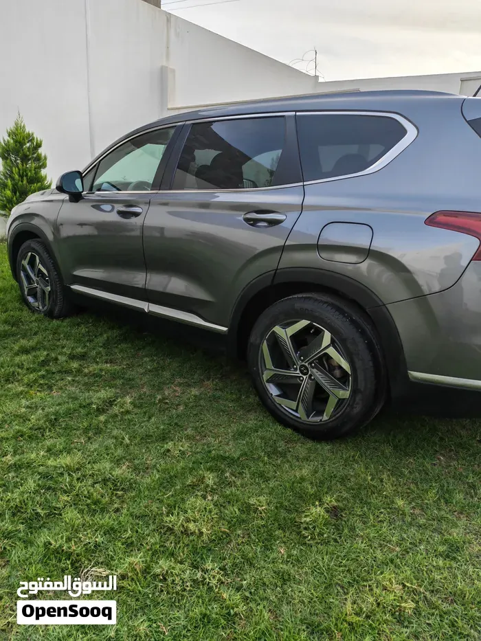 Hyundai Santa Fe 2019 photo 3