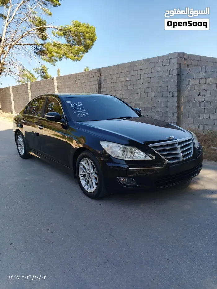 Genesis Sonata 2010 photo 3